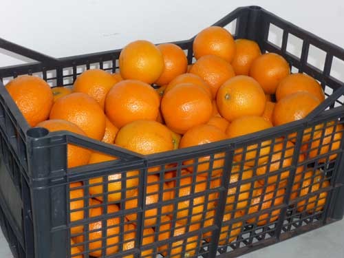 Orangen, griechische, Originalkiste